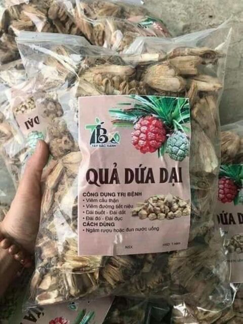 Mối chúa của quý phái mạnh