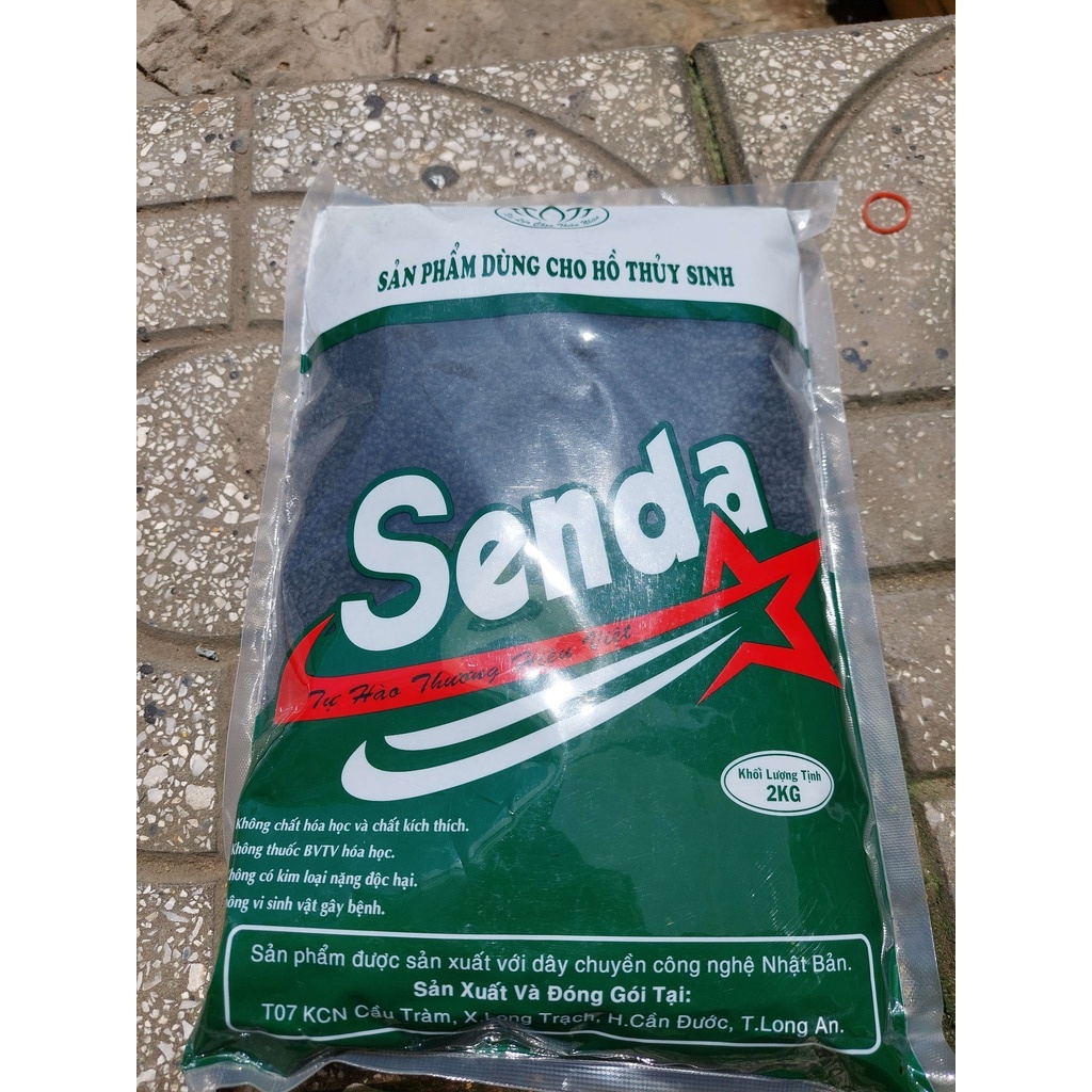 Đất Nền Thủy Sinh Cho Bể Cá