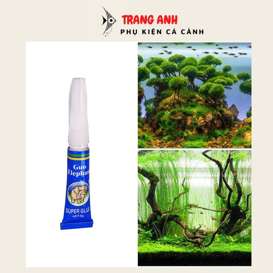 Keo Dán cây thủy sinh cao cấp INSTANT GEL dùng cho hồ thủy sinh