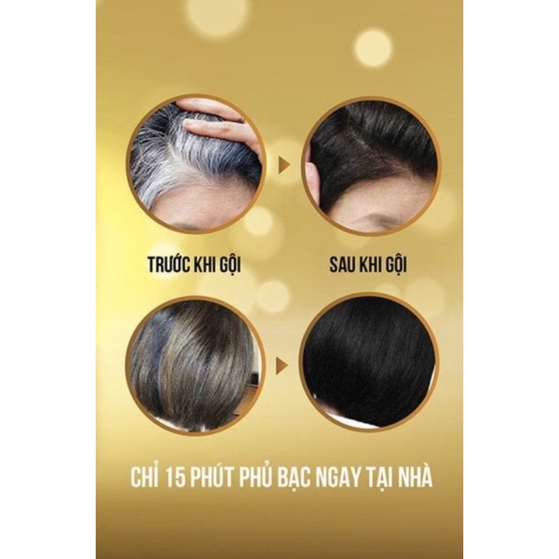Dầu gội nhuộm đen tóc DK Collagen phủ bạc tốt nhất dành cho người lớn tuổi 500ml