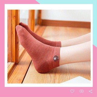 Combo 5 đôi vớ tất cổ ngắn hình gấu Brown dễ thương TN67