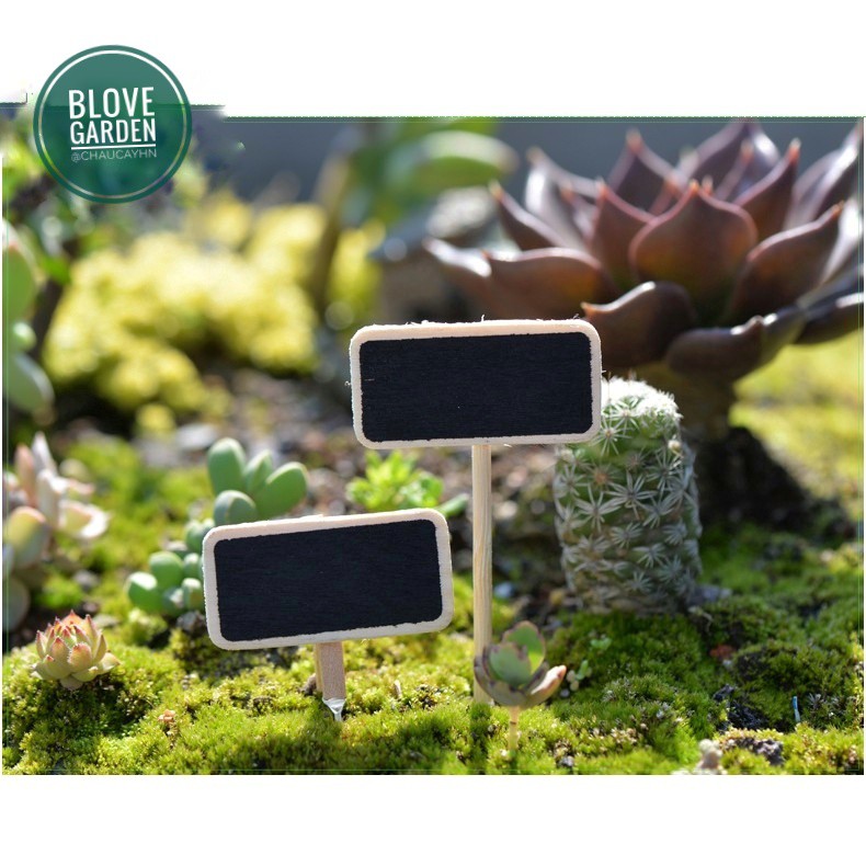 Combo 05 cái Bảng đen mini - làm phụ kiện tiểu cảnh trang trí chậu cây Terrarium, sen đá, xương rồng, gắn tag trang trí