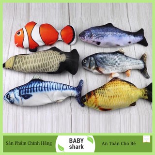 Cá Nhảy Hot Trend 2020