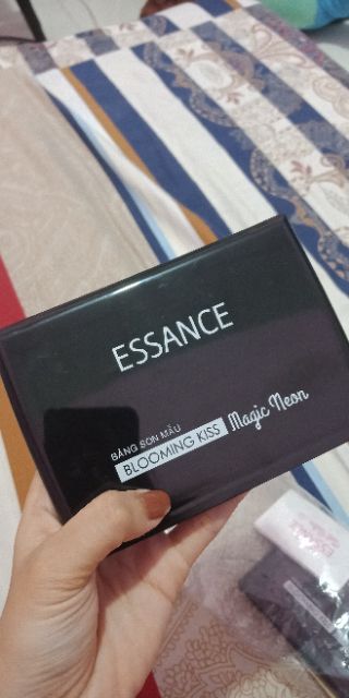 Bảng son 15 màu Essance