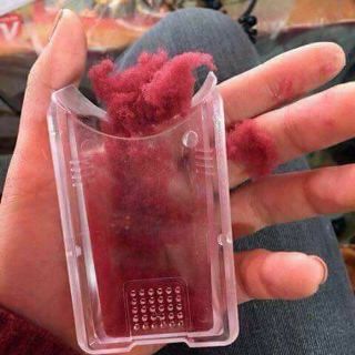 Máy cắt lông xù