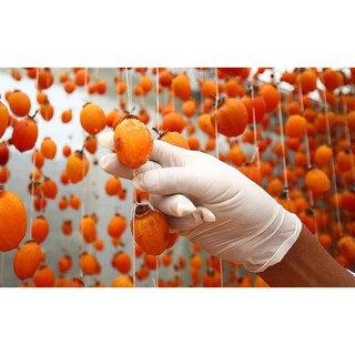 [FREESHIP] 1KG Hồng trứng treo gió Đà Lạt