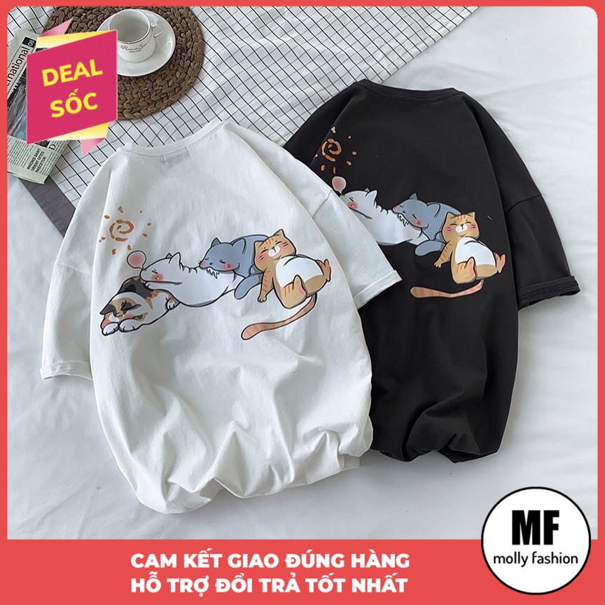 Áo thun tay lỡ Unisex Mèo ngủ form rộng Freesize dành cho nam nữ Molly Fashion