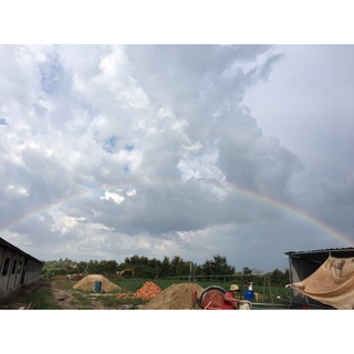 sữa mi lô gói