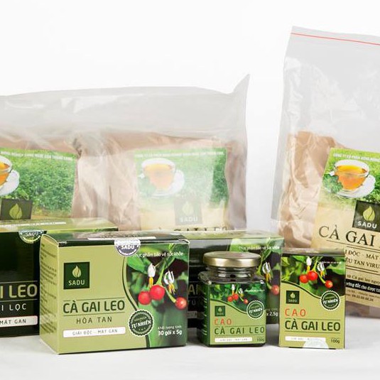 Cà gai leo Hoà Tan Sadu - Mua 05 tặng 01 - Hỗ trợ tăng cường chức nang gan, bảo vệ gan