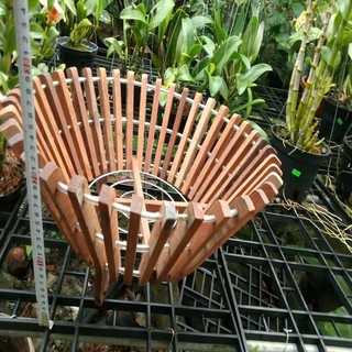 chậu gỗ  trồng lan  49cm