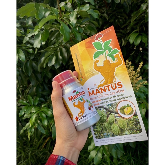 combo 5 chai MANTUS