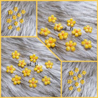 Hoa dã quỳ 5 cánh (đủ màu)🌼