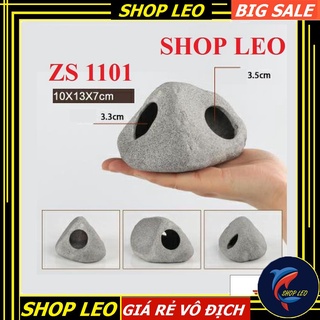 Hang cá ali ZS 1101 - hang pleco - trang trí bể tép - bể thủy sinh - hồ cá cảnh
