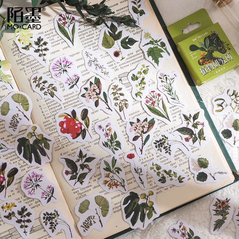 Enjoymore 🌿 Hộp 46 Miếng Dán Viện Thực Vật Vintage Cây Hoa Lá Cỏ Trang Trí Sổ Bullet Journal Hình Dán Sticker Nhãn