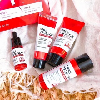 Bộ ốc sên mini SOME BY MI SNAIL TRUECIA
