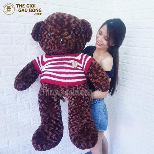 Gấu bông Teddy 1m2 màu nâu socola