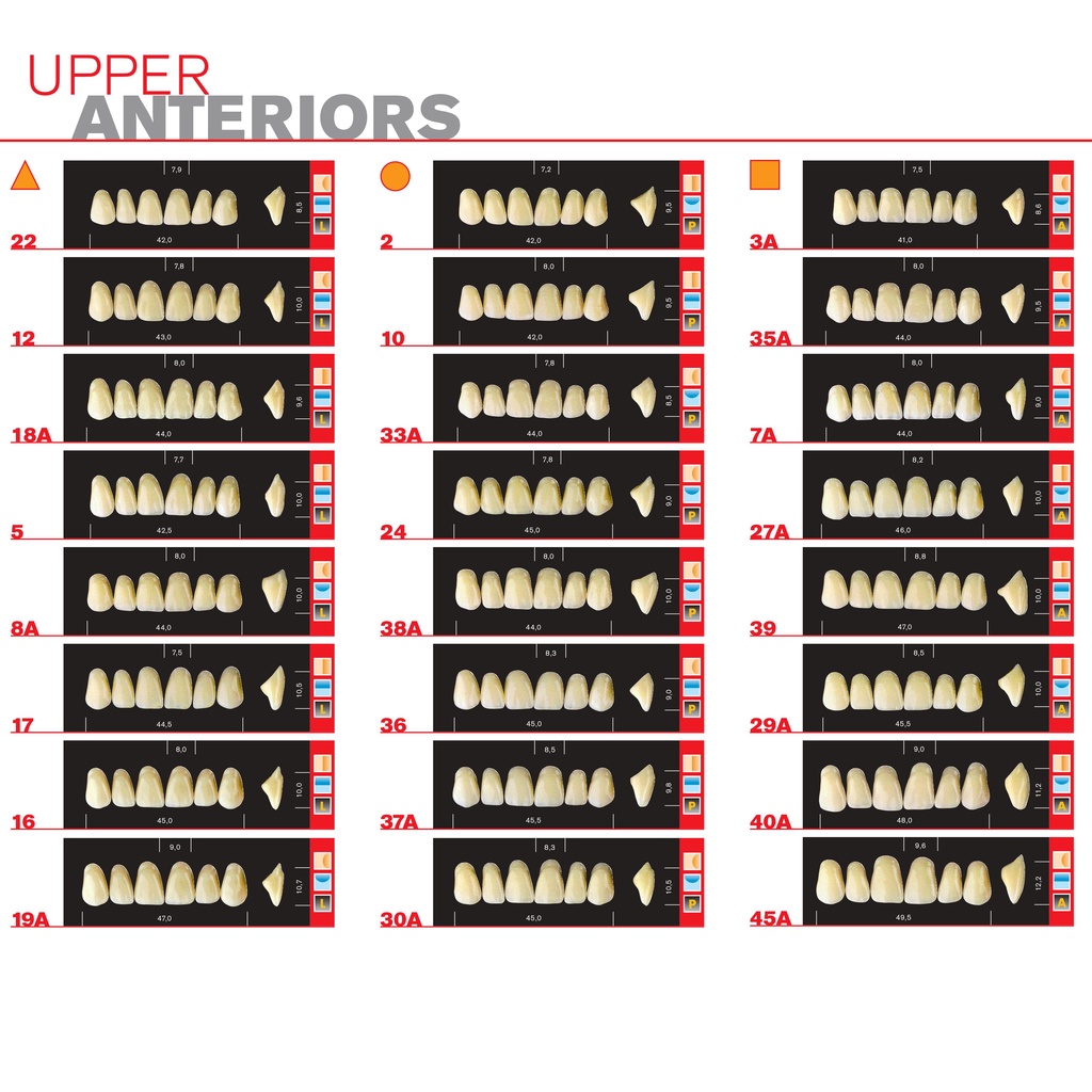 Răng nhựa giả tháo lắp màu A1 siêu cứng 3 lớp Major Dent Italy Artificial Teeth