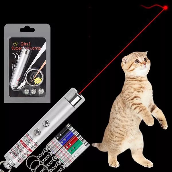 Đồ chơi laser trêu mèo