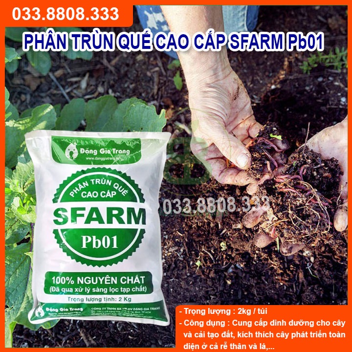 PHÂN TRÙN QUẾ SFARM PB01 KHÔNG MÙI BAO 2KG CHUYÊN DÙNG CHO RAU HOA