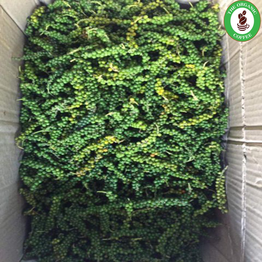 1kg Tiêu Xanh nhà trồng_ tiêu Daklak chuẩn sạch