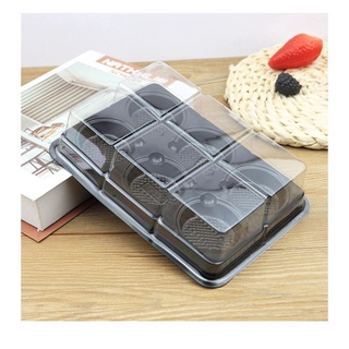 Khuôn hộp bánh Combo 50 hộp nhựa pet 6 ngăn tròn