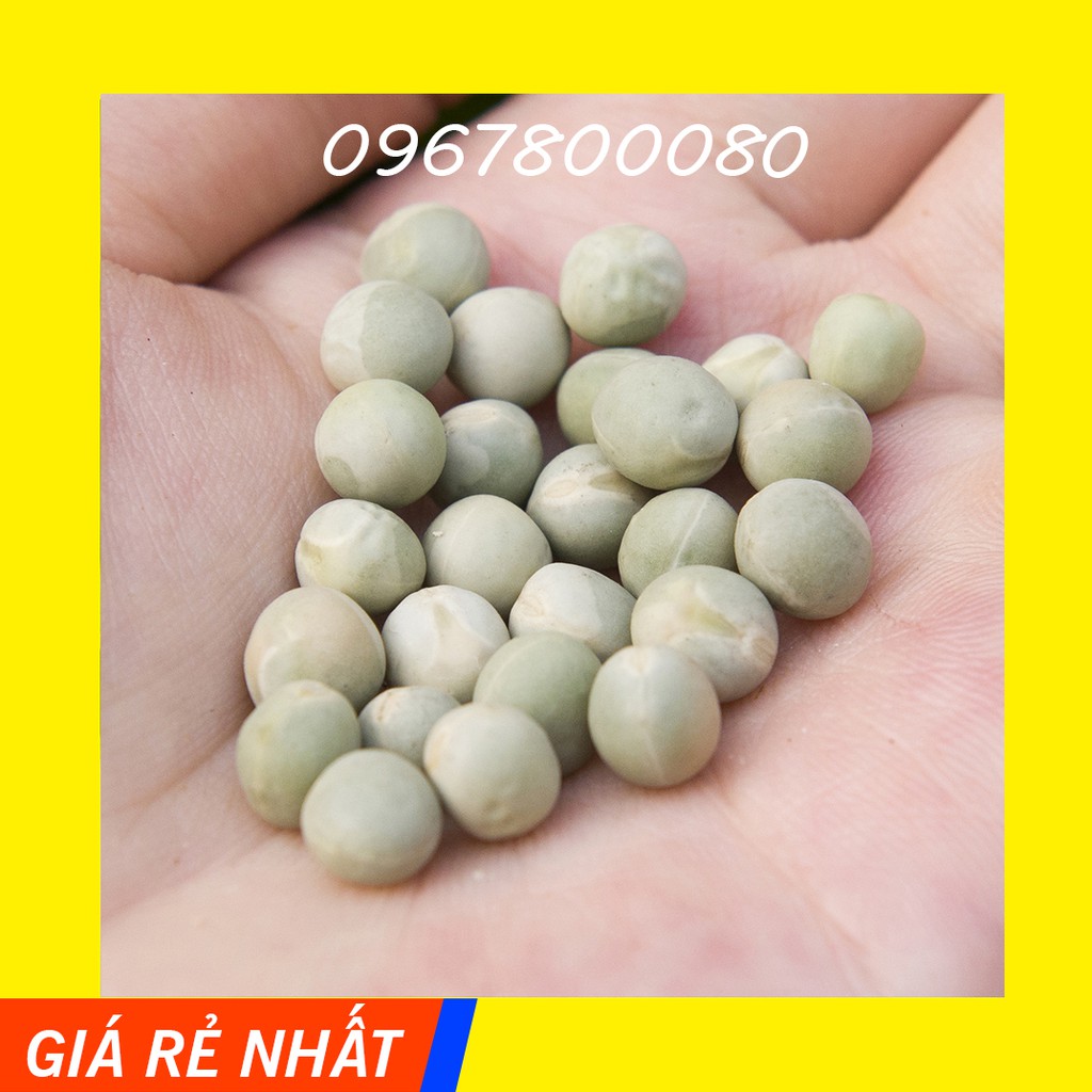 500gr Đậu Hà Lan xanh Mỹ 🎀FREESHIP🎀 Đậu hà lan hữu cơ dùng làm hạt giống rau mầm đậu Hà Lan | BigBuy360 - bigbuy360.vn