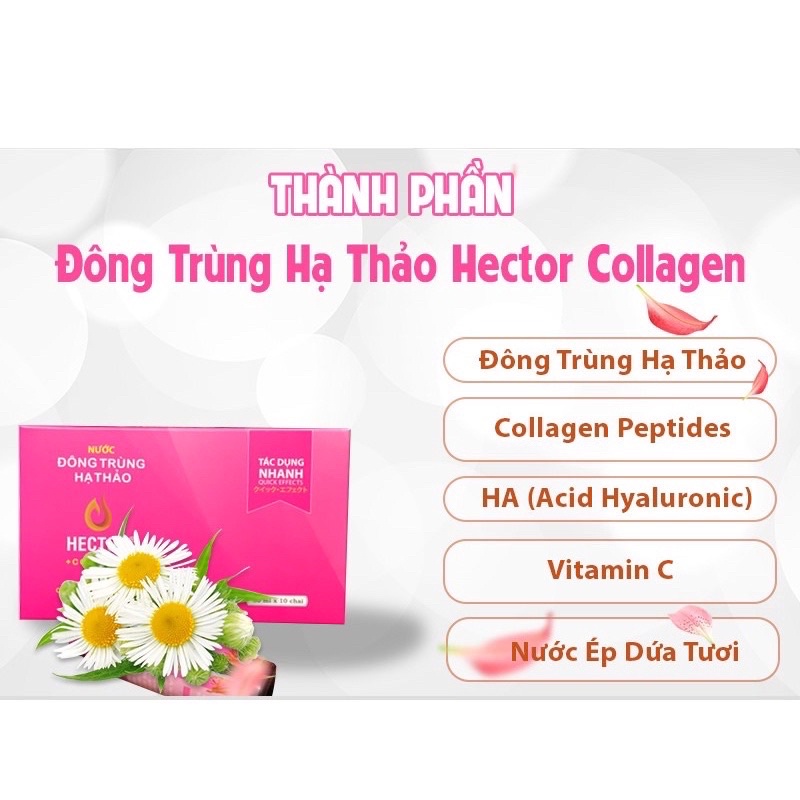 [ TẶNG QUÀ ] Nước Hector Collagen Đông Trùng Hạ Thảo 1 hộp 10 chai