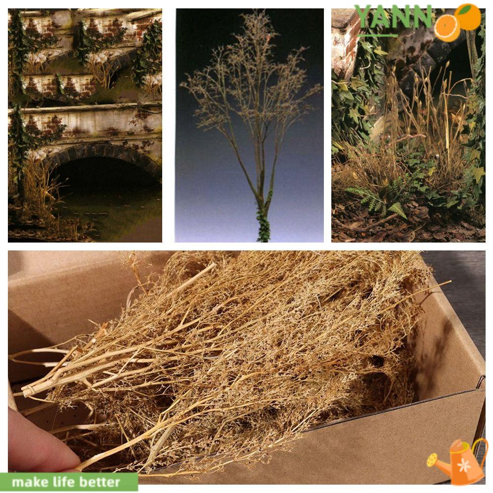 Mô Hình Tuft 1 DIY Thân Cây Độc Đáo Sáng Tạo