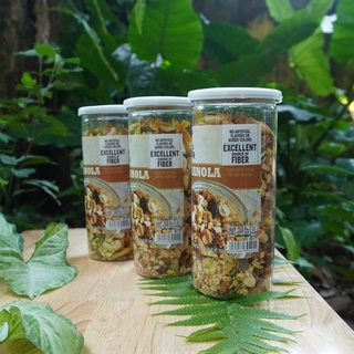 Granola Ăn Kiêng Nhiều Hạt 500g- Ngũ Cốc Ăn Kiêng Không Đường (Tỷ lệ yến mạch 10%)