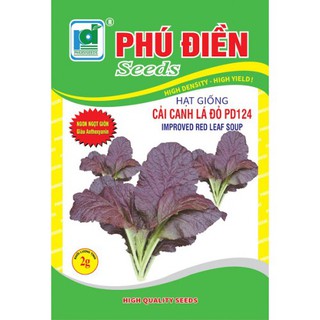 Hạt giống Cải canh đỏ
