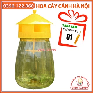 Bộ Dụng cụ bẫy Ruồi vàng, Ruồi Muỗi Ong, Ruồi Dấm hiệu quả