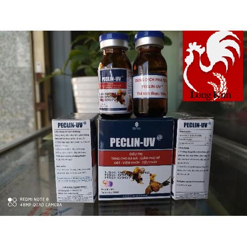 PECLIN UV 10 ML TAN MÁU BẦM - MAU LÀNH VẾT THƯƠNG CHO GÀ SAU KHI ĐÁ - (2 LỌ PHA CHÍCH)