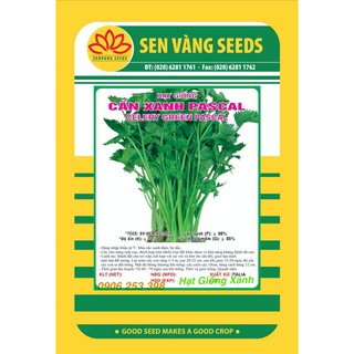 Gói 2Gr Hạt giống Cần Xanh Pascal Chịu nhiệt Dễ trồng