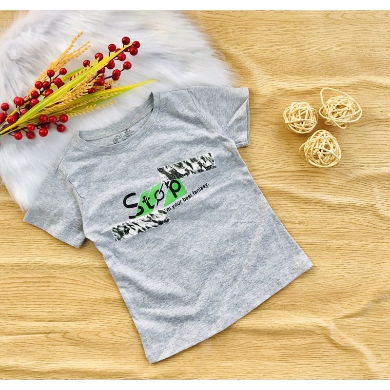 🦕 Áo cotton hàng shop bé trai từ 6-20kg