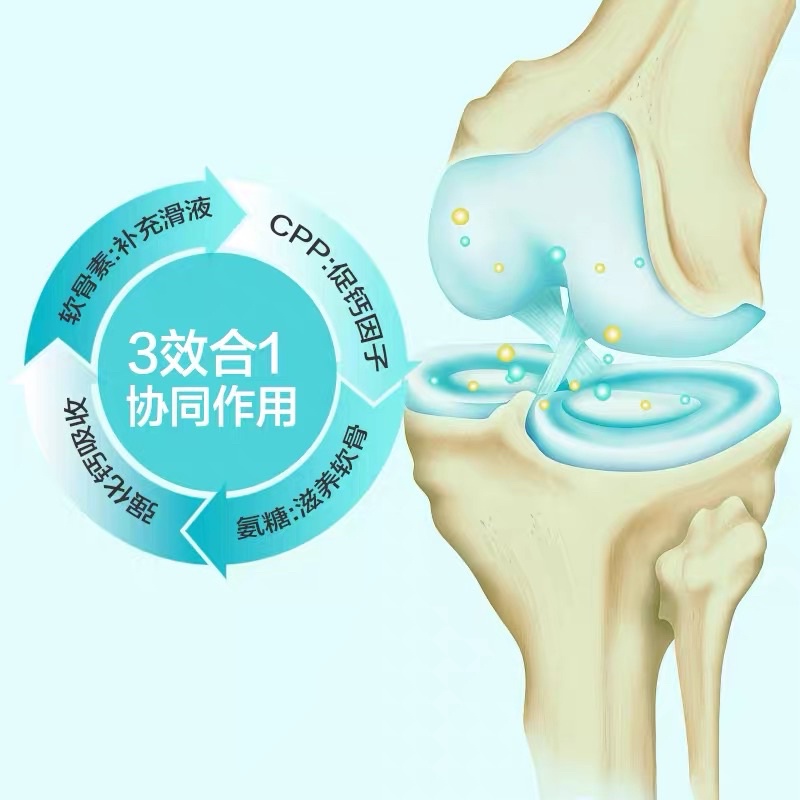 Vitamin Nourse 05 hỗ trợ xương khớp tái tạo sụn khớp cho chó NourseVietnam VN05