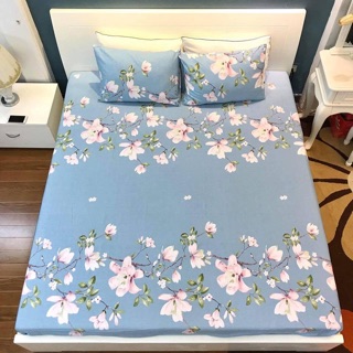 Ga trải giường + đôi vỏ gối (Bán rời)