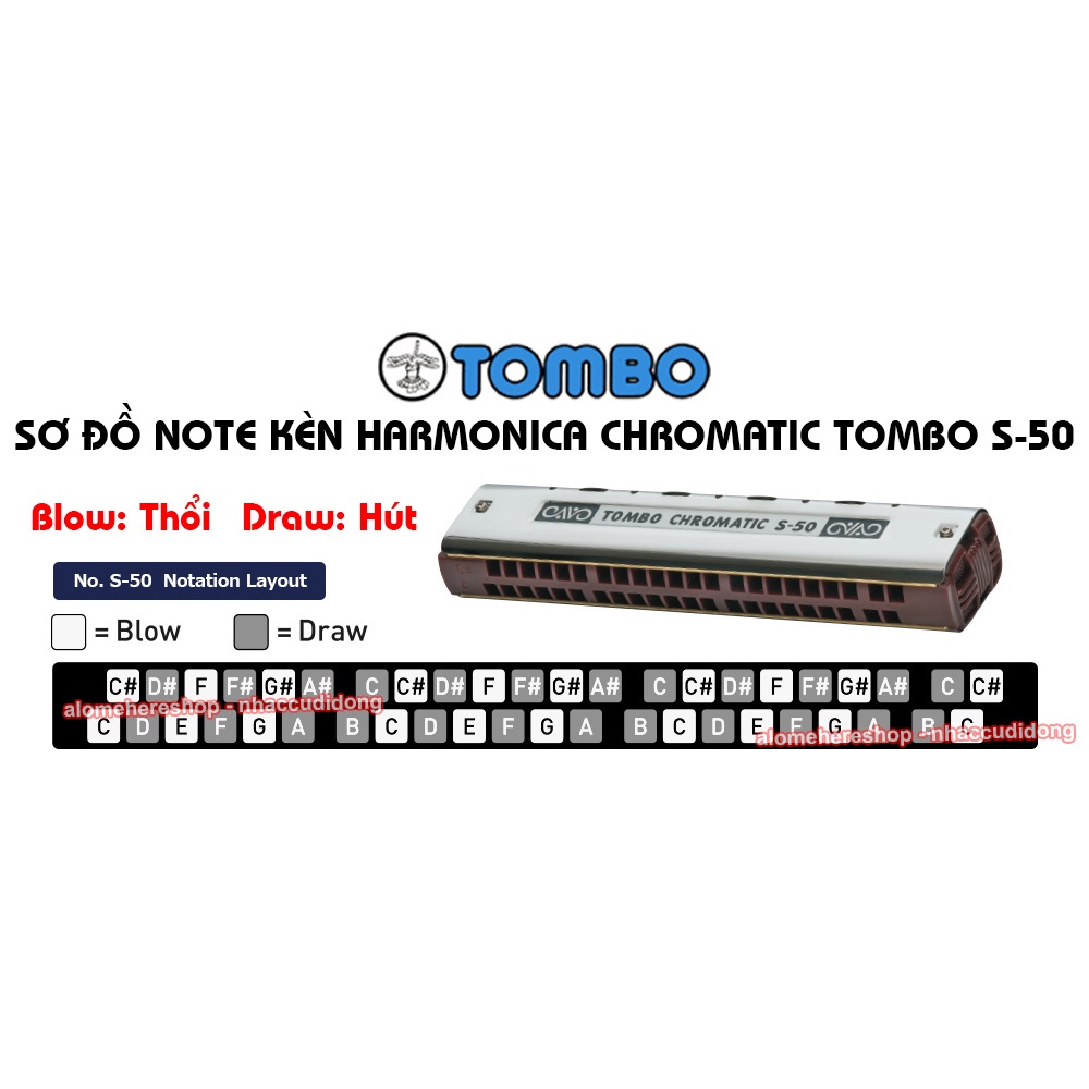 Kèn harmonica Chromatic Tombo S-50 với 50 note 2 hàng lỗ tách biệt độc đáo Có Clip Thực Tế