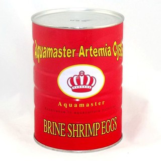 Trứng Artemia ấp nở