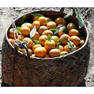 Tinh dầu Vỏ Quýt Lê Quế (Lê Gia)