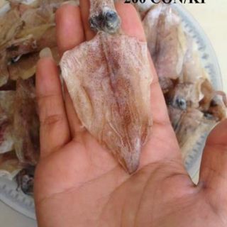 Mực câu Quảng Ngãi size nhỏ