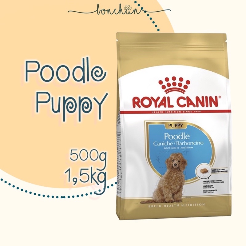 |freeship xtra|Hạt Royal Canin cho poodle- Hạt khô cho poodle nhỏ túi nguyên hãng 1,5kg