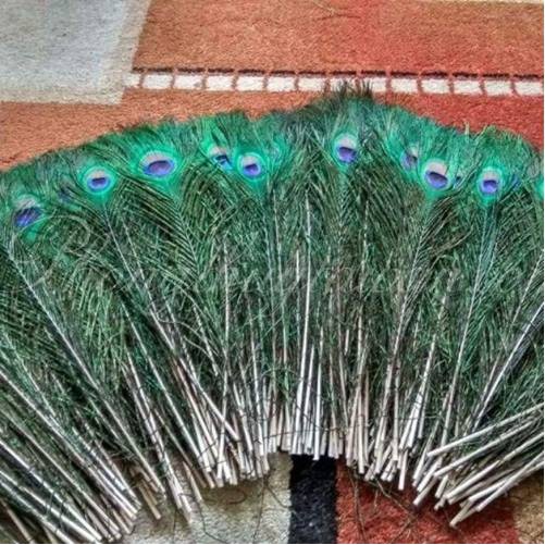 [MẮT TO]Lông công(25cm đến 90cm mắt 4-6cm)_video,lông Khổng tước chiêu tài,trang trí thật 💯% | BigBuy360 - bigbuy360.vn