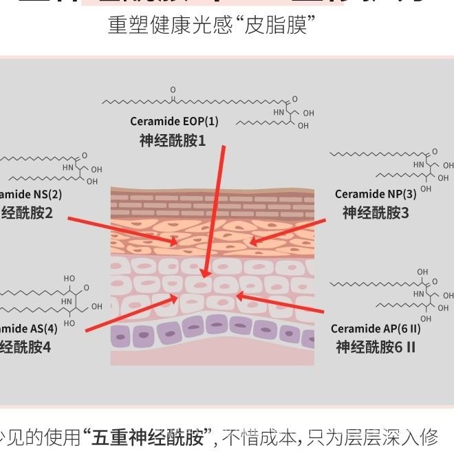 Tinh Chất Toner Hbn Giúp Dưỡng Ẩm Da Hiệu Quả