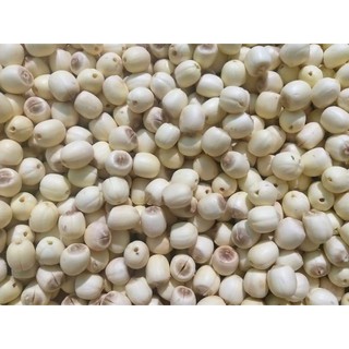 Sen tươi Huế chính gốc 1kg như hình (theo mùa)