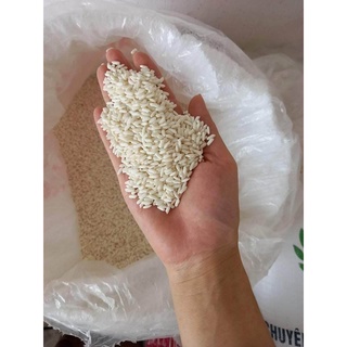 1kg gạo nếp sáp ngỗng loại 1