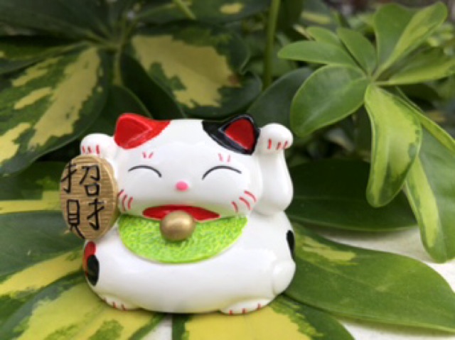 Mèo phong thuỷ may mắn Nhật Bản Maneki Neko độc đáo