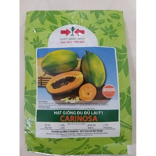 Hạt giống đu đủ lai F1 Carinosa Hai Mũi Tên Đỏ gói 65 hạt