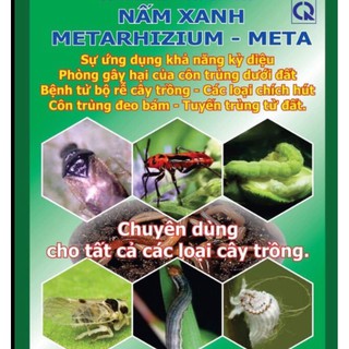Combo 6 gói Nấm Xanh quản lý côn trùng