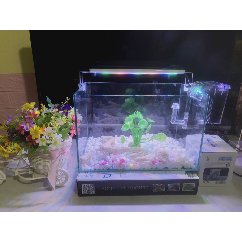 Hồ cá, bể cá cảnh thủy sinh full combo 6 món phụ Kiện D38 R20 H20