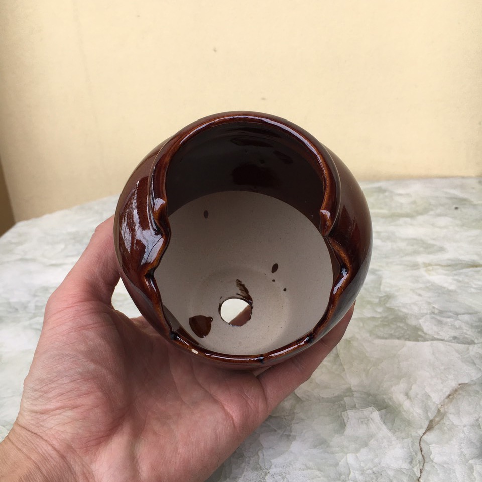Chậu bonsai Chum khoét nâu cánh gián gốm Bát tràng 1 size BM-164